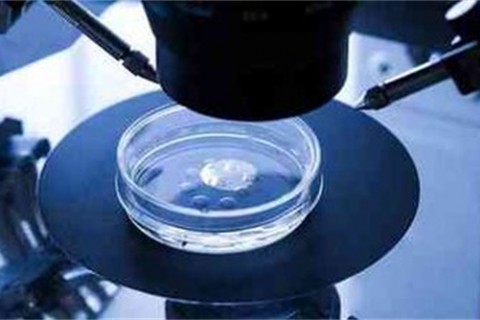 新型冠状病毒会在蔬菜肉类上存活吗