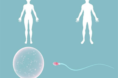 纽约州长称“封城”18天，像过了一辈子