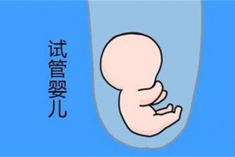 http://www.qqbee.cn/post/204.html|供卵助孕